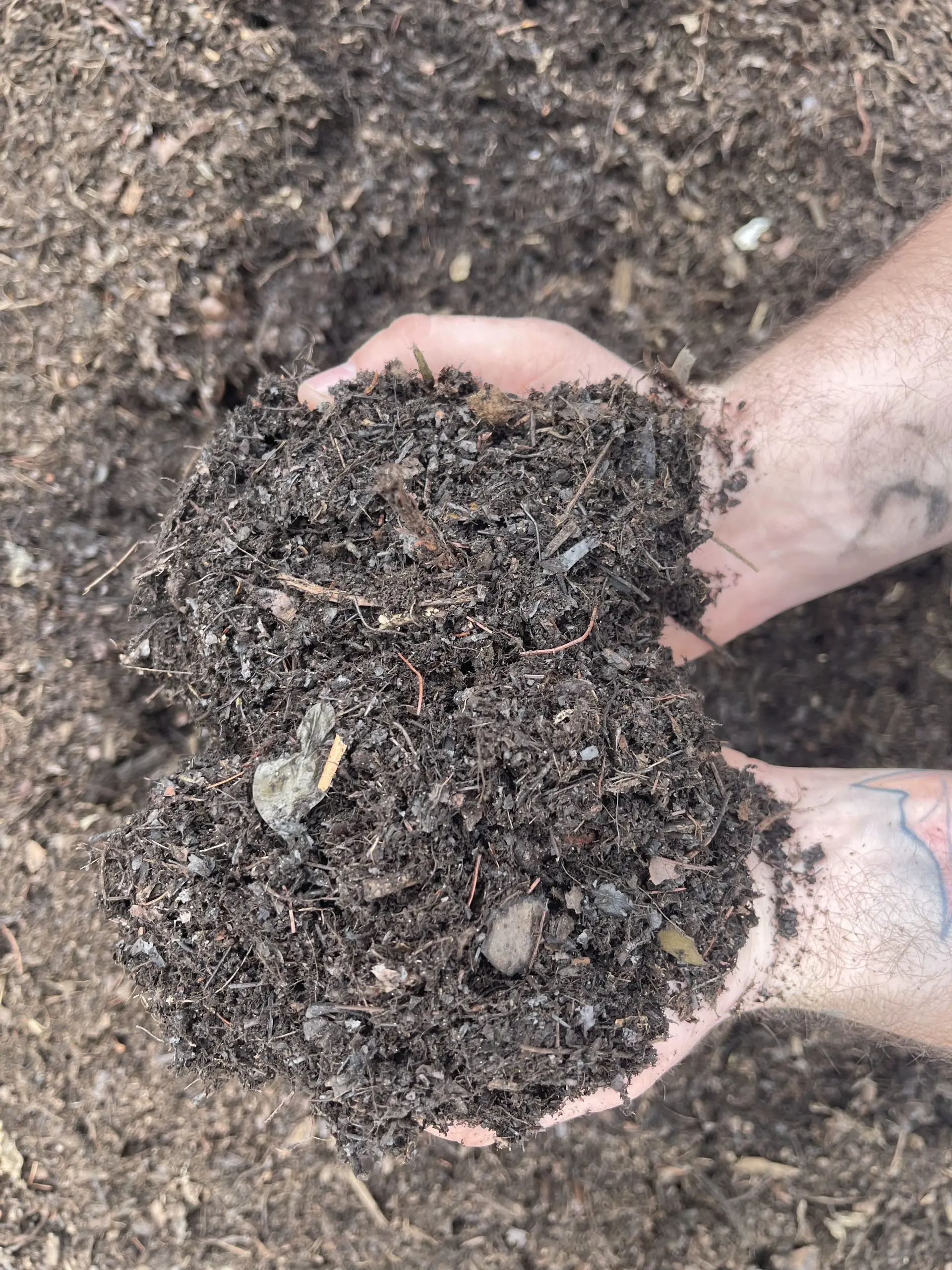 Lawn and Garden Soil