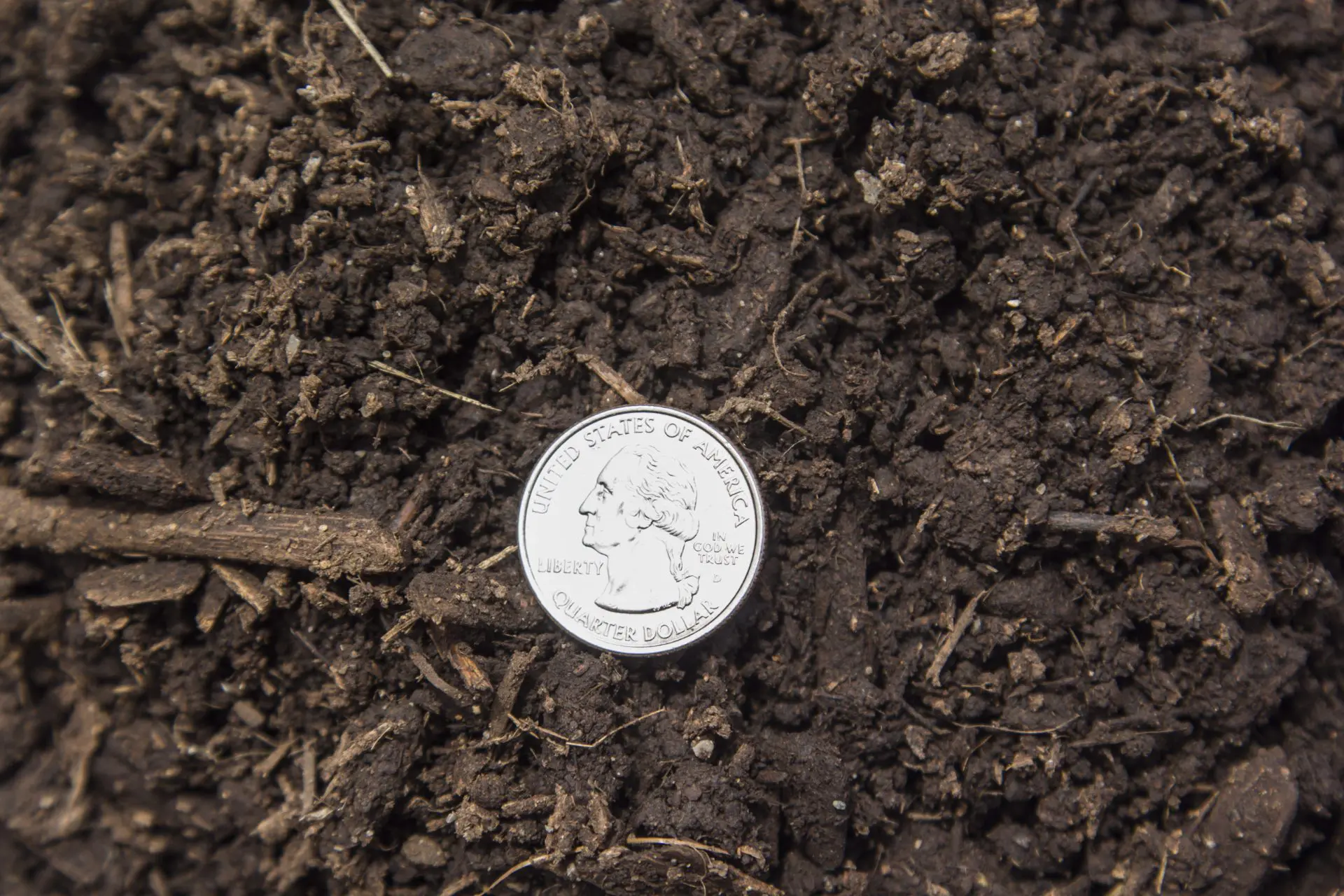 Lawn and Garden Soil 10