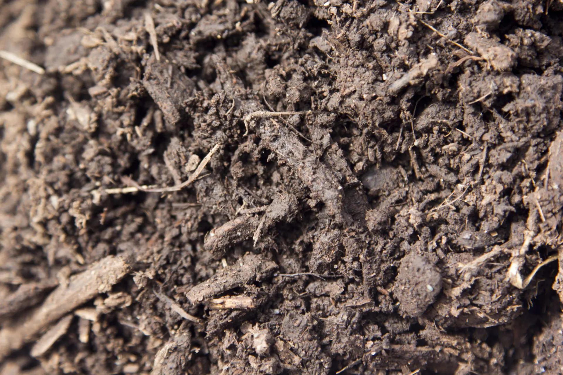 Lawn and Garden Soil 11