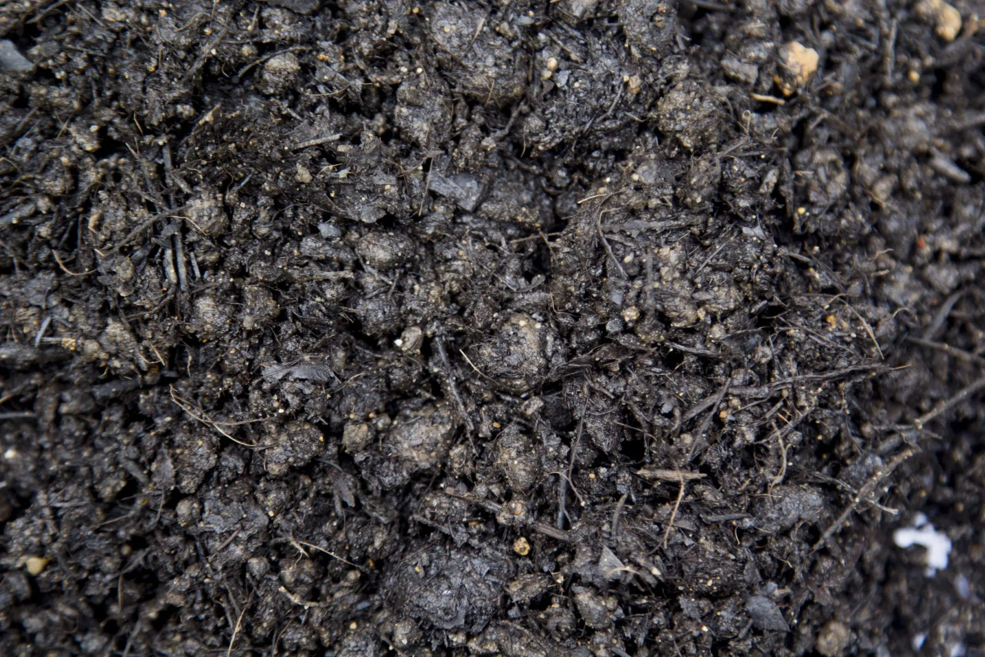 Lawn and Garden Soil 18