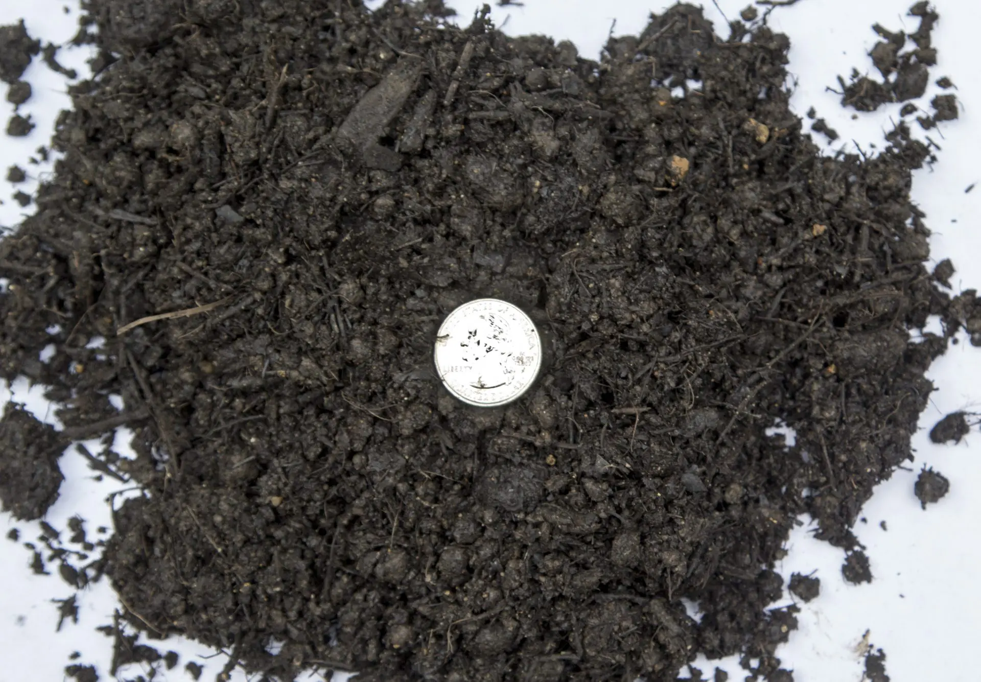 Lawn and Garden Soil 21