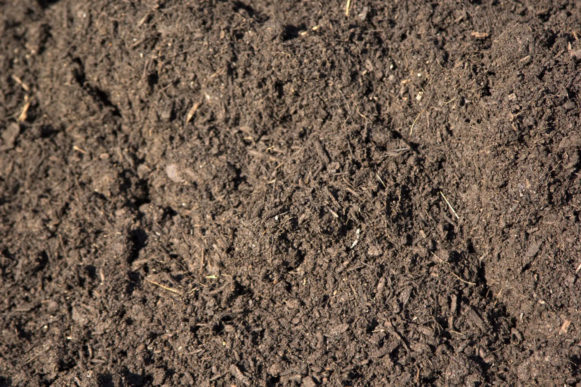 Lawn and Garden Soil 4